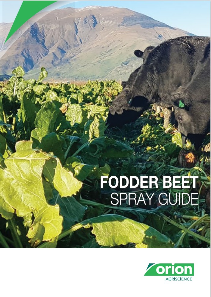 Orion Fodder Beet Spray Guide